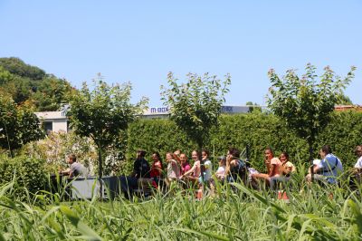 IMG_1074.JPG