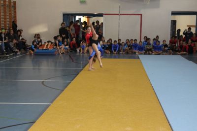 IMG_3347.jpg