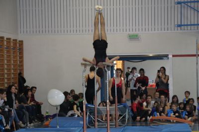IMG_3364.jpg