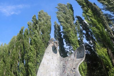 IMG_4091.JPG