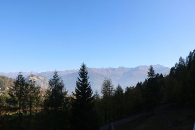 IMG_6024.JPG