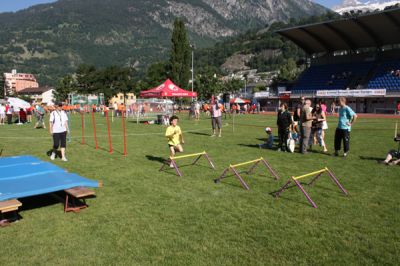 IMG_6600.jpg