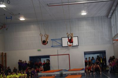 IMG_7864.jpg