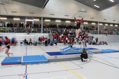 IMG_9063.jpg