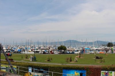 IMG_9207.jpg