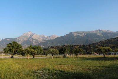 IMG_9666.jpg