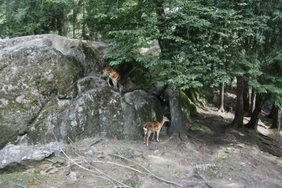 _MG_6637.jpg
