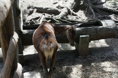 _MG_6644.jpg