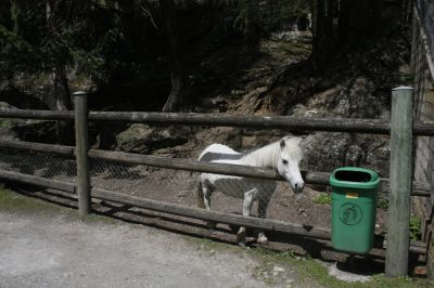 _MG_6654.jpg