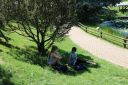 Nom du fichier=IMG_1079.JPG
Taille du fichier=973Ko
Dimensions : 1500x1000
Ajouté le : 18 Juin 2017 IMG_1079.JPG