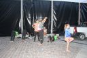 IMG_2667.jpg