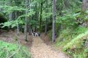 IMG_7703.JPG