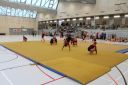 IMG_8931.jpg