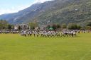 IMG_9165.jpg